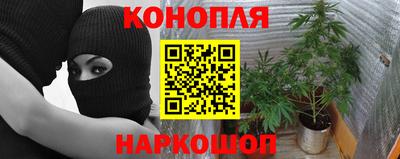 мяу мяу мука Краснокаменск